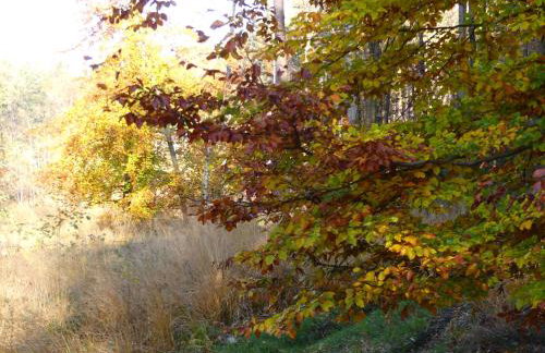 Jeżynowy Domek - Sulistrowice - Photo 37