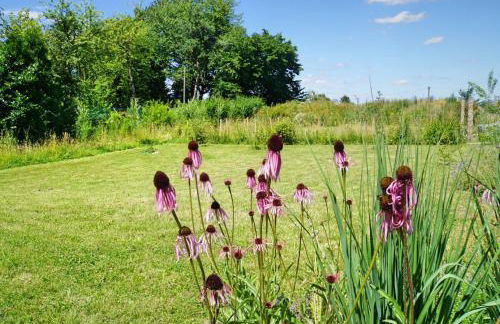 Wäller Haus - Modern villa with fireplace & large natural garden - Foto 28