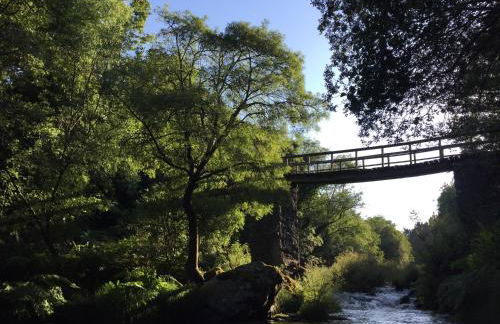 O Muíño da Balsiña - Foto 49