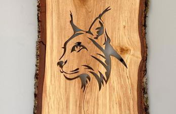 Gerês Distinto - Foto 28