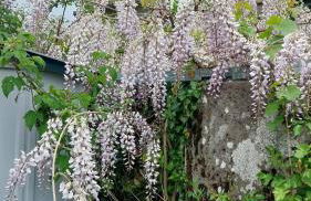 Villa 3 chambres à Saint-Cirgues-de-Malbert avec piscine - Foto 46