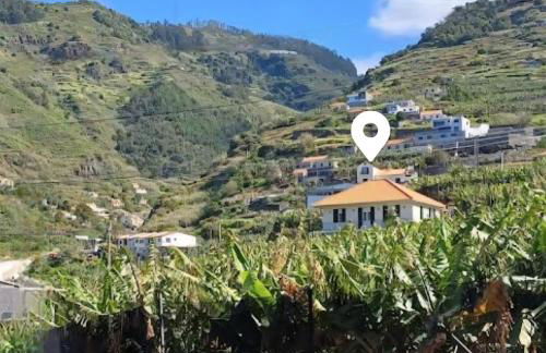 Banana Lovers - Farm View - Photo 19