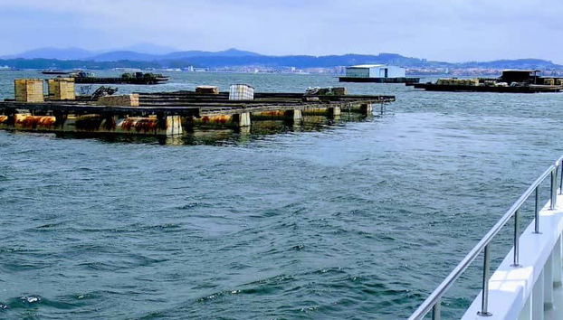 Galician Mussels Boat Tour + Tasting - Foto 5