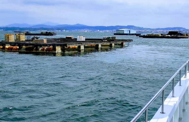 Paseo en barco por la ría + Degustación de mejillones - Foto 5