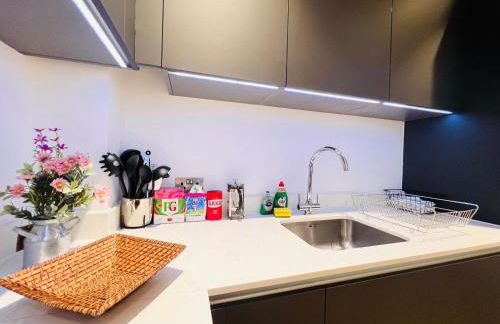 Beautiful Ap near London Bridge-Waterloo-Westminster-Victoria-Bond Street-Oxford circus - Foto 13