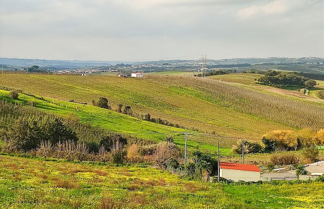 Cozy Vacation Rental in Peaceful Peral, Portugal - Photo 10