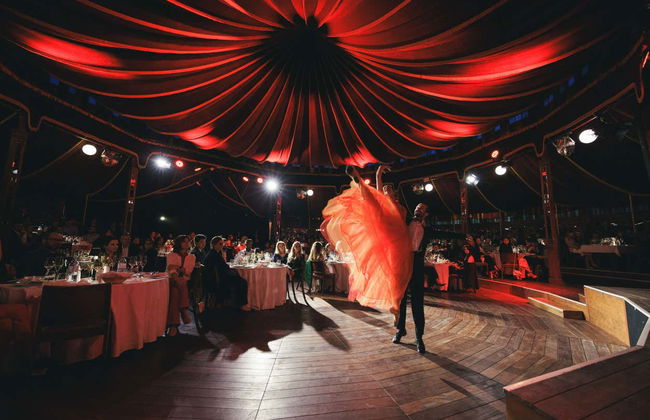 Concert de Strauss avec dîner dans le Prater - Photo 13
