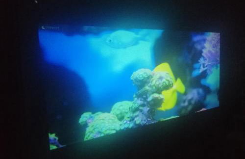 BNB Retreat Broadstairs Kent - Foto 9