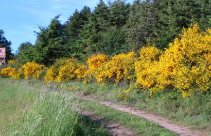 FeWo Marita - Foto 27