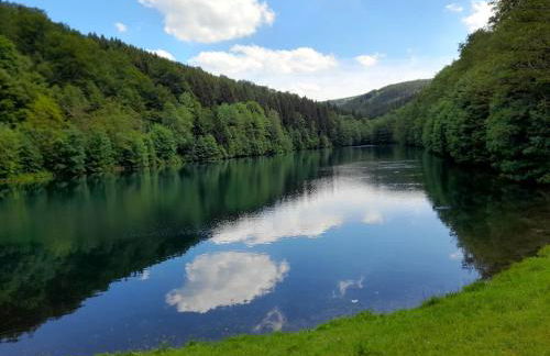 Apartment Nahe Willingen und Winterberg - Foto 79