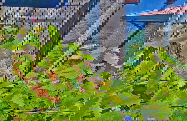 Casa del Borgo il Picchio - Foto 17