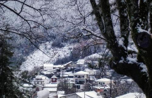 Pefkofyto Mountain Retreat - Photo 60