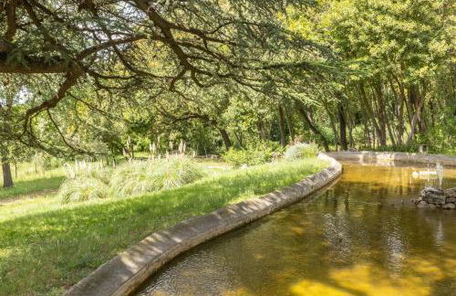 Domaine de Rieucoulon - Photo 46