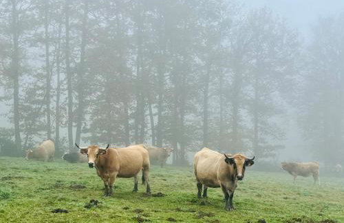 Maison de village, Route des lacs - Foto 32