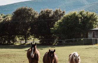 Casa di Campagna in Toscana - Foto 54