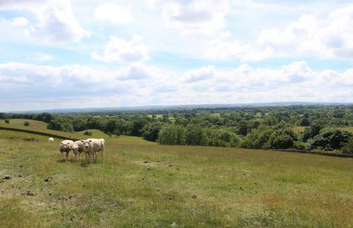 Low Shipley Mill - Foto 62