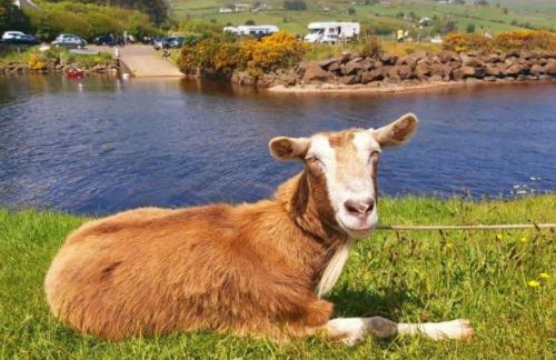 Sleepy Hollow Apartment - Foto 16