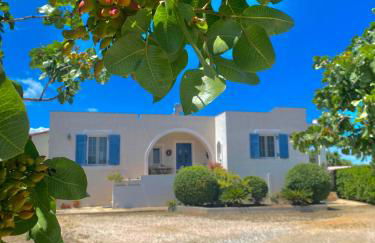 Tzitzi Pistachio Villa - Foto 1