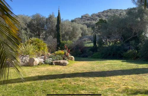 Maison Jardin d'Agrumes - Lozari - Foto 10