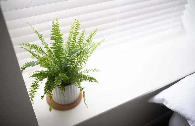 End House Inverness - Foto 12