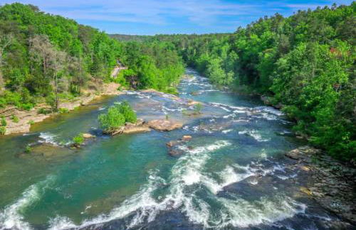 Big Yard Family Getaway - Pets OK - Grill and Hike - Foto 10