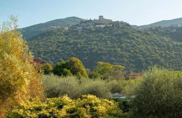 La Casa degli Aceri - Foto 23