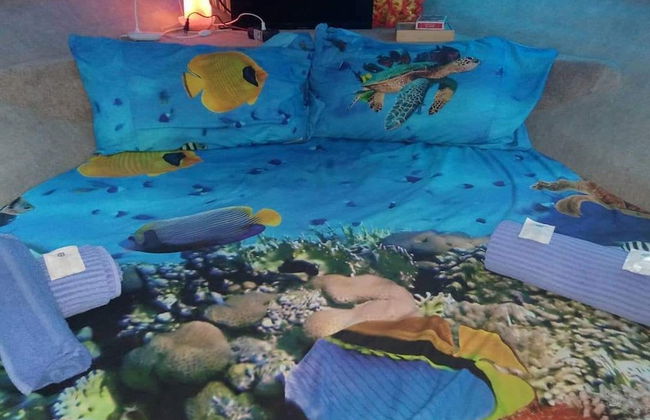 Boat Sissi Cagliari - Foto 1