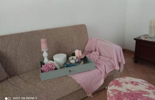 Le rose e i violini - Photo 6