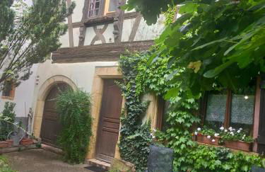 Studio La Grenouillère - Foto 13