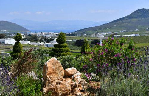 Irini's house with Jacuzzi - Photo 44