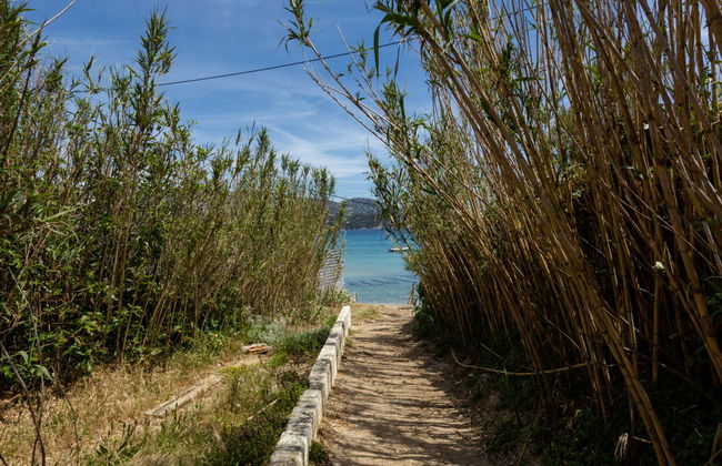 Cap Négre : Domaine de la Pinède - Foto 22