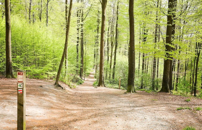 Beautiful House in Flemish Ardennes for Cyclists - Foto 39
