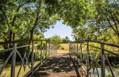 Domaine du prieuré Saint Ellier - Photo 6