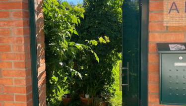 Casa Triana - Foto 3