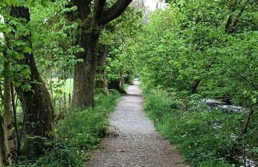 Fox Cottage - Foto 12