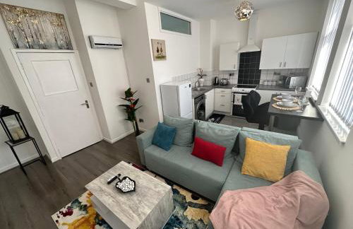 2 bedroom flat close to Manchester City, Manchester City stadium and Coop Arena - Foto 64