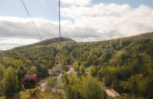 Charming Lutsen Mountain Townhome with Pool Access - Foto 42