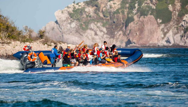 Bay of Mazatlán Speedboat Tour + Whale Museum Tickets - Foto 2