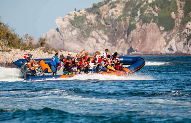 Bay of Mazatlán Speedboat Tour + Whale Museum Tickets - Foto 2