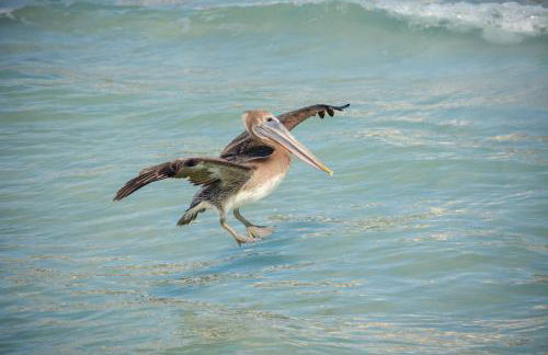 Beautiful condo with pools, spas, tennis and dining - Foto 51