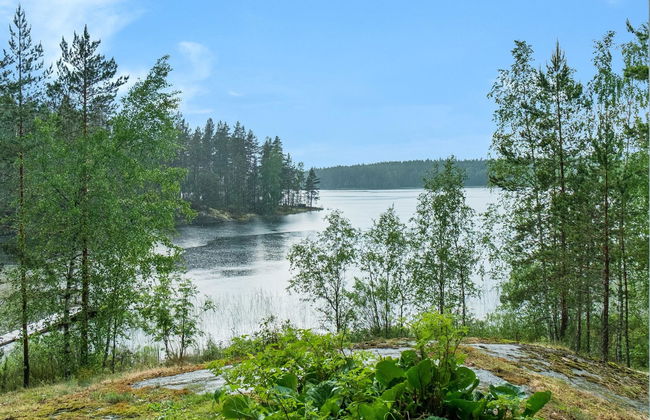 Saimaanhovi - Foto 3