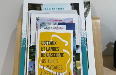 Studio Hypercentre Casteljaloux - Moderne - Calme - Wifi - TV - - Foto 27