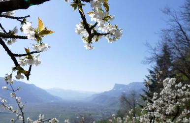 Der Luemerhof - Foto 11