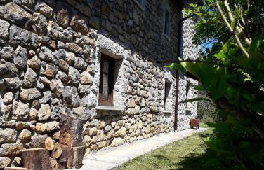 Flor de Pomar - Foto 45