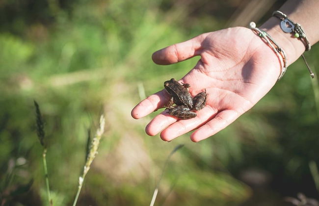 Quinta de Mos - Foto 22