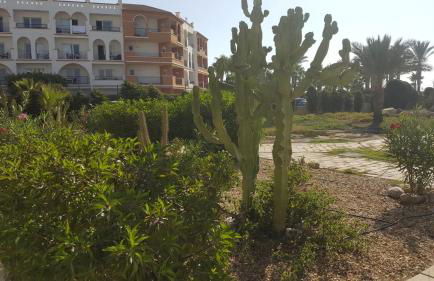 Apartment zona Naturista - Foto 78