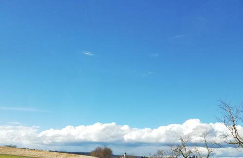 Ferienhaus Tettenweis - Foto 14