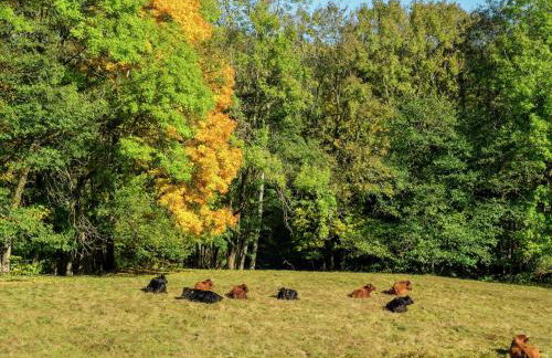 Ferienhaus in Wittenschwand - Foto 18