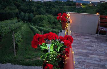 Kuća za odmor Velnira - Foto 16