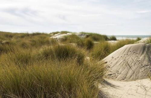 Le Rosa: Villa de charme entre mer et pinède - Foto 43